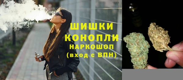 молекула духа Пестово