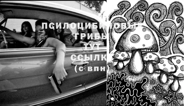 не бодяженный Иннополис