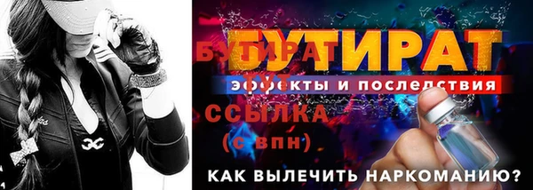 крисы Бородино