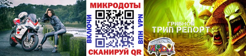 даркнет Telegram  Ардон  Псилоцибиновые грибы Cubensis 